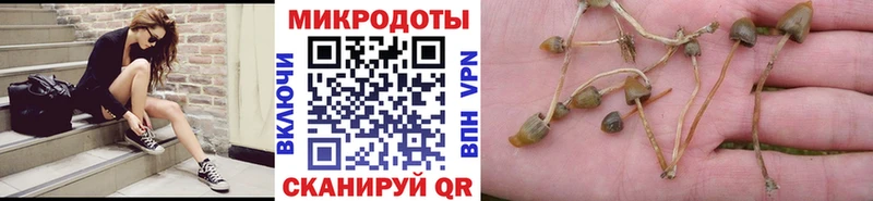наркошоп  Дмитровск  Псилоцибиновые грибы Cubensis 